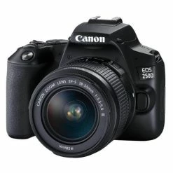 Canon EOS 250D / 18-55mm - 24.10 Mpx, APS-C/DX - Appareils Reflex