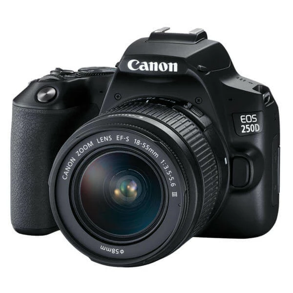 Canon EOS 250D / 18-55mm - 24.10 Mpx, APS-C/DX - Appareils Reflex 1 Canon EOS 250D / 18-55mm - 24.10 Mpx, APS-C/DX - Appareils Reflex