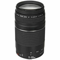 Canon EOS4000D/18-55DC/75-300DC Kit 3011C010 - Appareils Reflex -Fujifilm Shop unnamed file 633