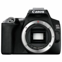 Canon EOS 250D Body - 24.10 Mpx, APS-C/DX - Appareils Reflex